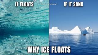Why Does Ice Float The Strange Science of Water That Keeps Life on Earth Alive