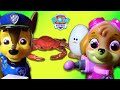 Paw Patrol Parody: Paw Patrol Skye + Chase Rescue Surprise Egg Calico Critters