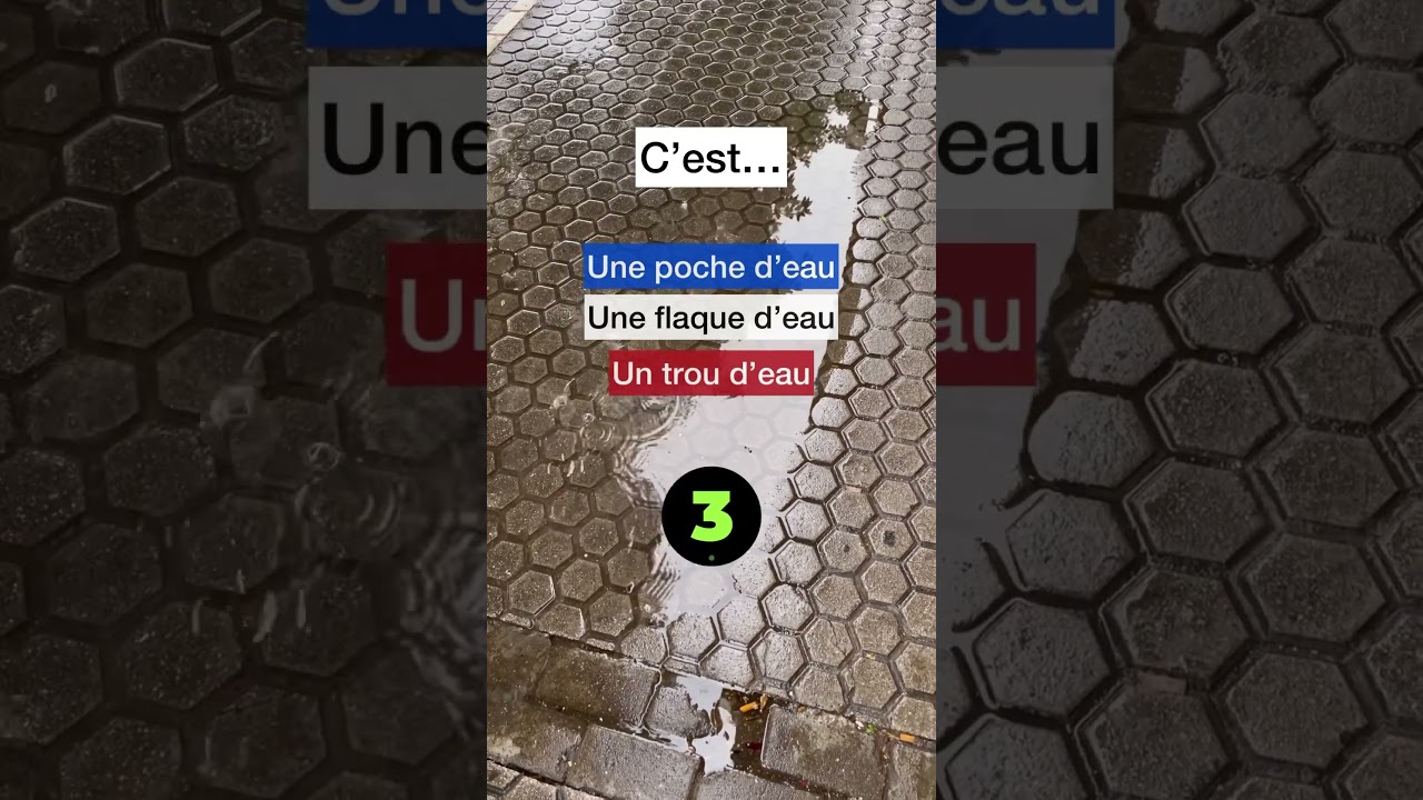 🇫🇷 ONLY a C1/C2 know the answer in French !!!