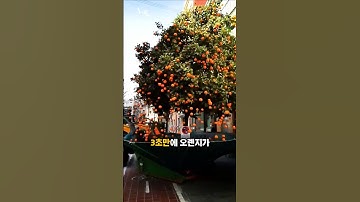 한국엔 없는 이 기계로 3초 만에 수확 끝?!