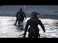 U.S. Recon Marines conduct Helocast Insertion Training (Sept 2024)