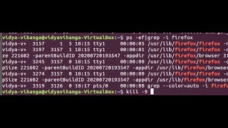 Killing a Process or Application using terminal in linux OS || How to kill process in linux
