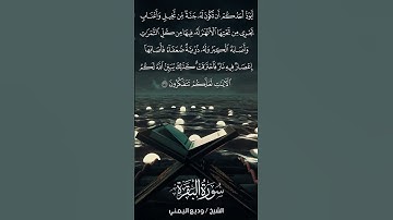 سورة البقرة | Al-Baqarah | آية 266 | الشيخ وديع اليمني