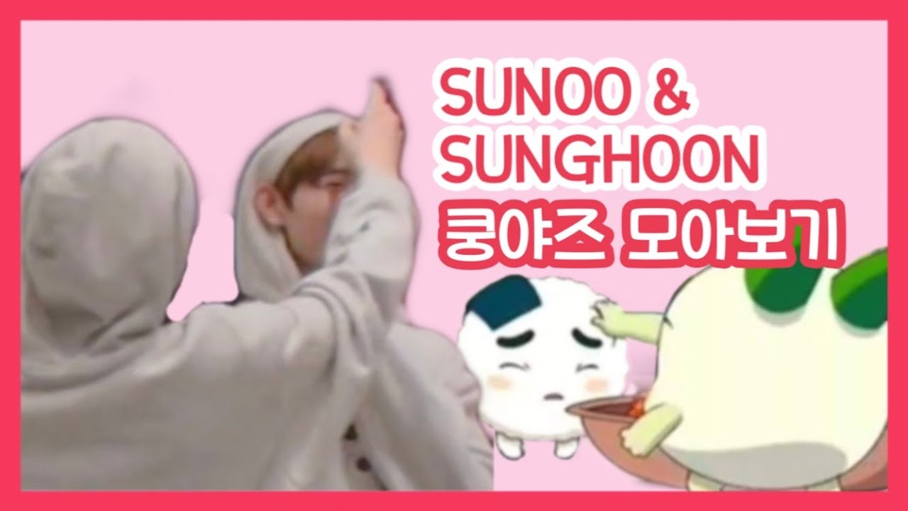 [엔하이픈/ENHYPEN] 쿵야즈 모아보기(부제:엔하이픈의 관계성을 알아보자) Sunoo and Sunghoon cute moments