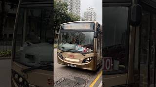 AAS8 SF566 @32P
