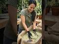 🌸 She Turned Simple Waste Into a Luxury Planter That Looks Expensive! 😍🔥 #DIY #Shorts #Viral