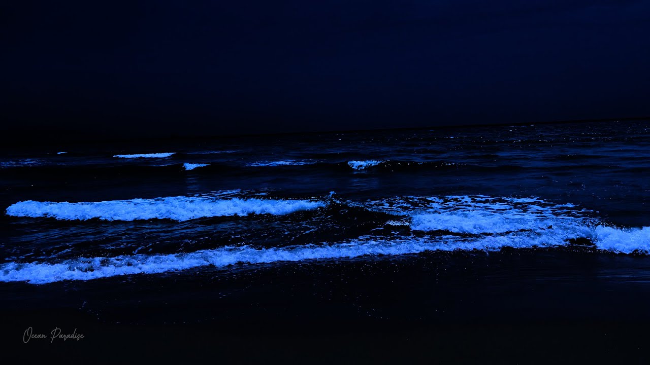 Suoni delle onde dell'oceano per dormire: addio fatica ad addormentarsi ...