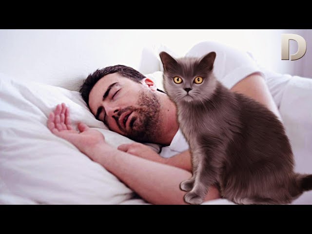 Qaynona kuyovining jinsiy azosini tukli mushuki bilan tortib oldi Qaynona kuyovining jinsiy azosini tukli mushuki bilan tortib oldi