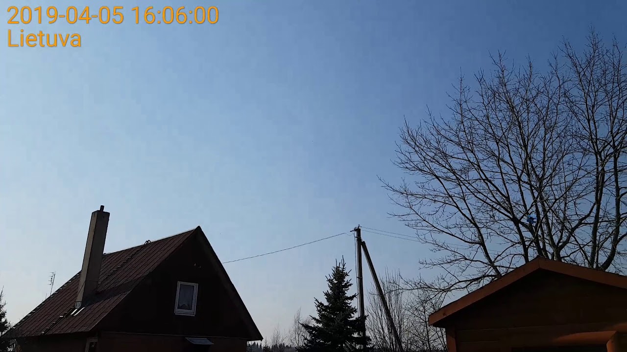 Racing pigeons loft Lithuania. Bricon test