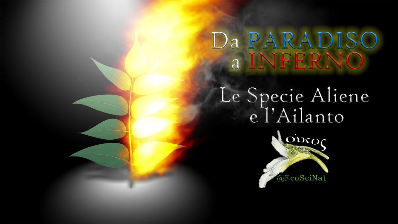 Le Specie Aliene e l'Ailanto