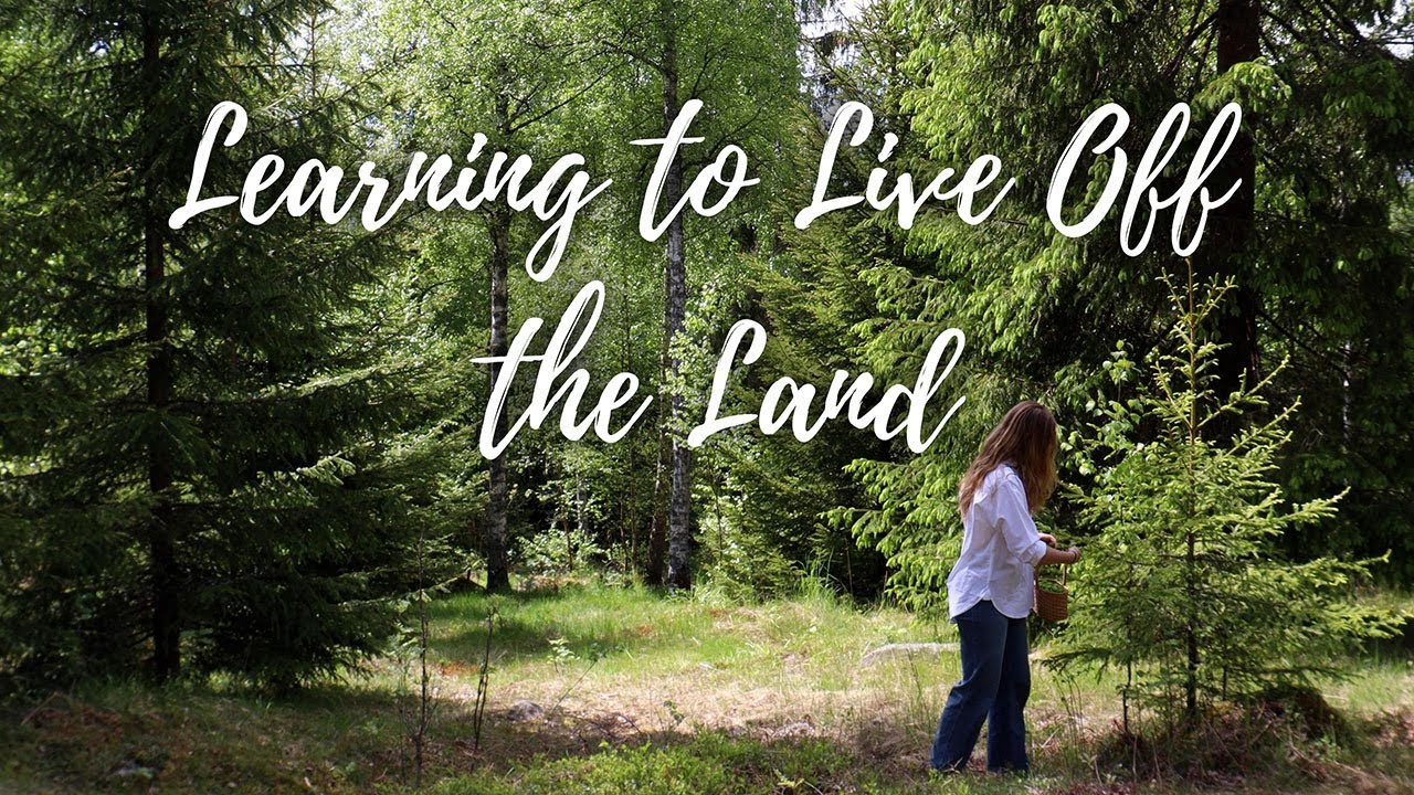9 Learning to live off the land // Alfheim Farm YouTube