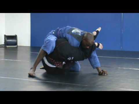 twin wolves mma jiu jitsu