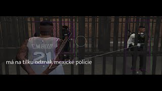 Mexická Policie