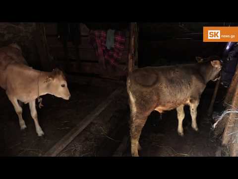 სოფელი გიორგიწმინდა