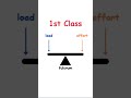 Understanding 1st Class Levers 📘
