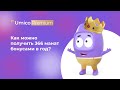 Встречайте подписку Umico Premium!