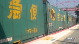 2015/10/23貨物列車1051レ EF210-131号機(新)牽引
