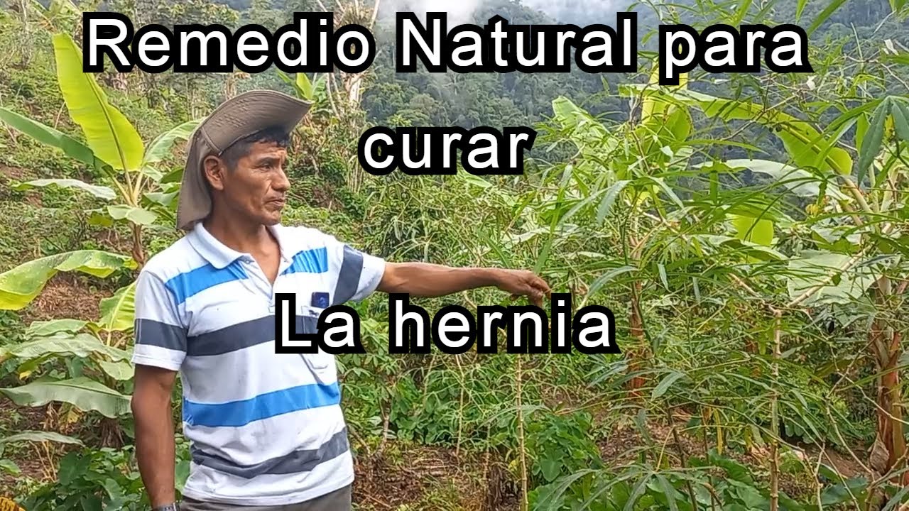 Medicina natural para curar la hernia y la ulcera documental completa