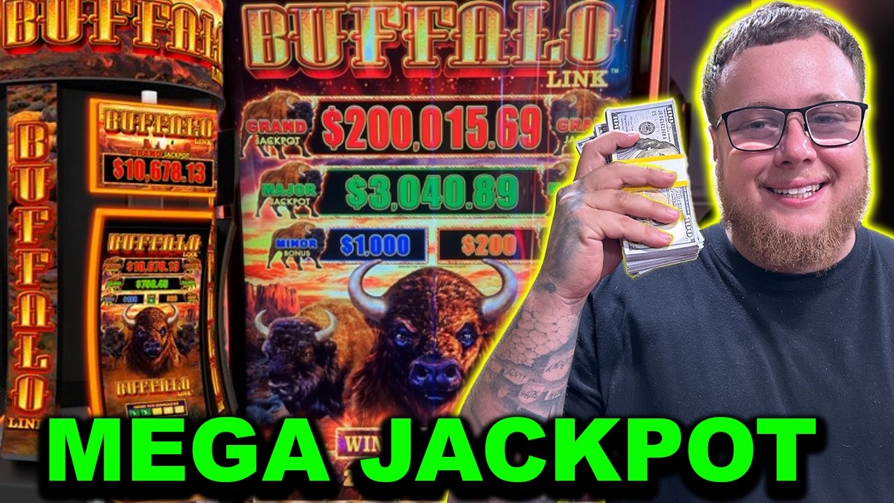 I Brought A Huge Bankroll to Buffalo Link!