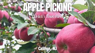 APPLE PICKING AT MELICK’S FARM || CALIFON- NJ