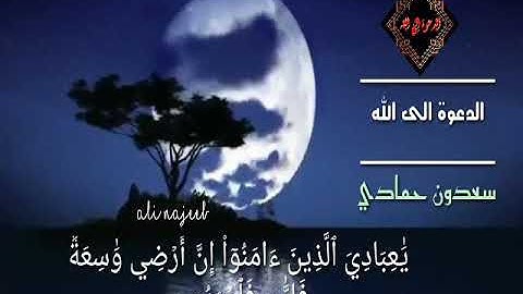 سورة العنكبوت للشيخ سعدون حمادي