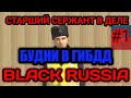БУДНИ В ГИБДД BLACK RUSSIA#1 | ПАТРУЛЬ ГИБДД НА БЛЕК РАША!