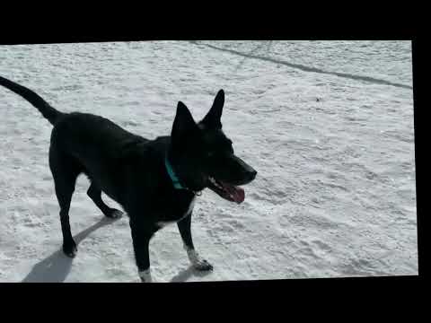 OpenCV Video Stabilization