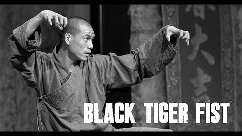 少林黑虎拳 Black Tiger Fist by Shi Deqian (part 2)