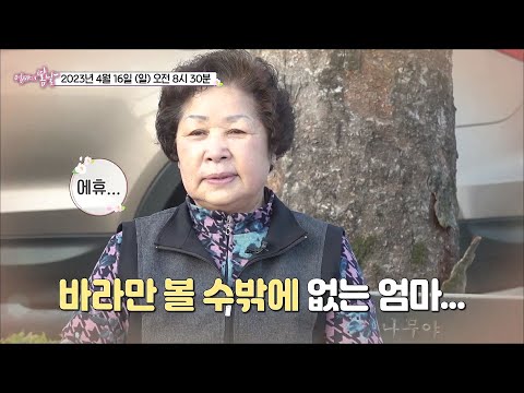 &amp;#39;흥&amp;#39;부자 <strong>영란</strong> 엄마의 속사정_엄마의 봄날 396회 예고 TV CHOSUN 230416 방송