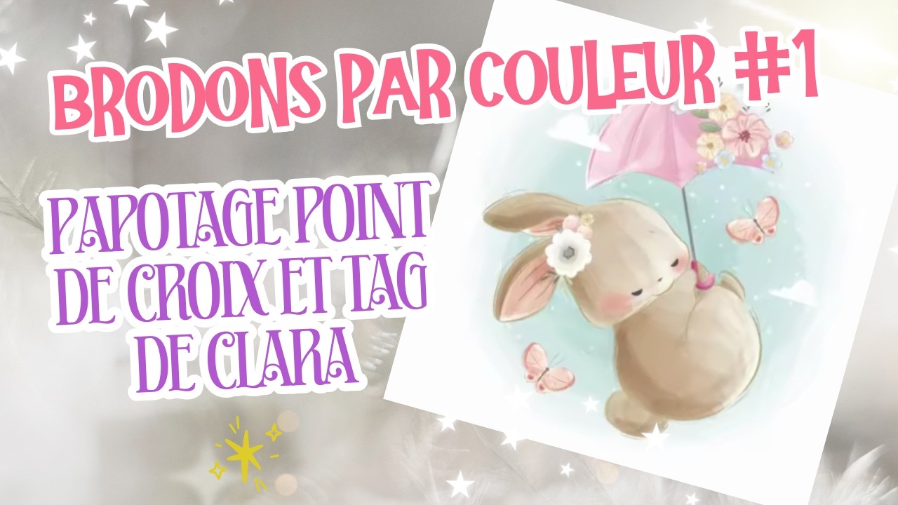 Brodons par couleur : On commence le petit lapinou choupinou 🐇 + Tag Team @claradp1988 