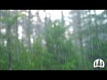 Rain Sounds - Deep Relaxation Ambience for Sleep (3 Hours)