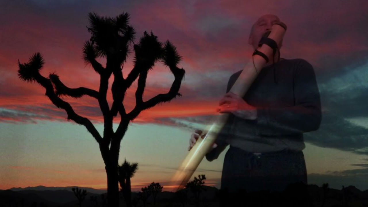 Pat Haran crafted Contra Bass Flute Low D minor Improvisation to Handpan Percussion Backing Track