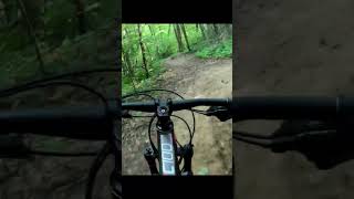 Rockrider Xc 100 S Mtb  Training