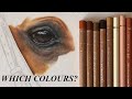 WHICH COLOURS SHOULD YOU USE FOR YOUR PENCIL PORTRAITS? (REAL TIME Draw With Me)