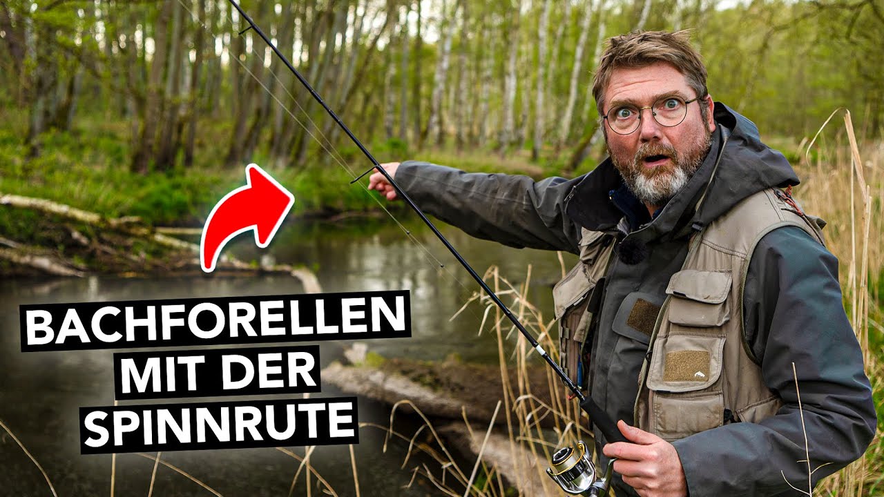 So fängst du deine erste Bachforelle am Bach! 🎣 (inkl. Ausrüstung