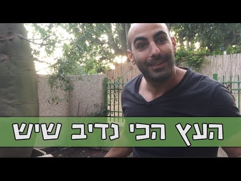 יוחאי ספונדר מוטיבציה - העץ הכי נדיב שיש