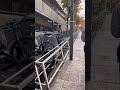 Who is the culprit #Japan #japanlife #shorts
