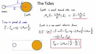 The Tides