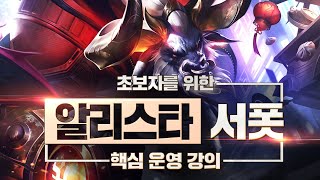 데교수의 알리스타 서폿 특별 강의