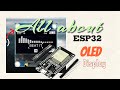 ESP32 MicroPython OLED Display  @roboninjaz ​