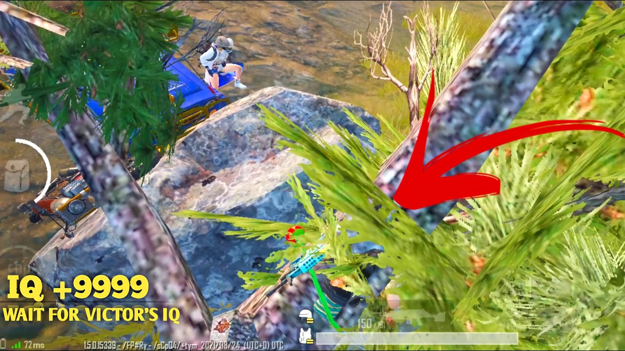 Wait for Victor's IQ | 048 | Inside The Tree 😂