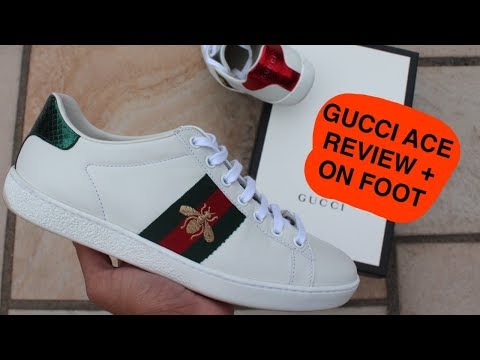 gucci bumblebee trainers