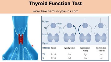 Thyroid Function Test Biochemistry || Thyroid Hormones || TFT