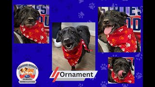 Ornament Rescue Buddy 1.16.26