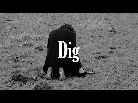 Dig