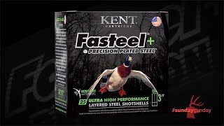 #SundayGunday: Kent Fasteel+ Shotshells