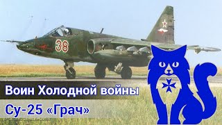 Су-25 Грач - Кампания 