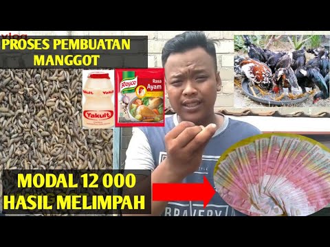 Video: Cara Membuat Ulat Untuk Kenderaan Semua Medan