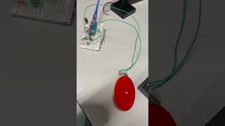 IMG 7902 1