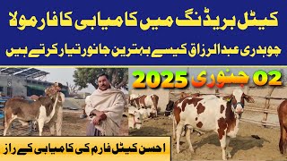 Ahsan Cattle Farm Secrets Elite Bull And Cow Breeding Tips